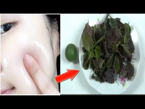 Lấy 1 nắm lá tía tô rồi làm thế này, da đen xì, đốm đen chi chít cũng trắng mịn ngay tức khắc