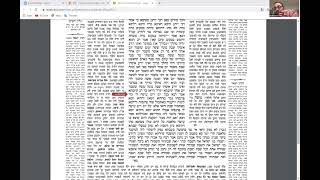Guemara Shabbat 69b/70a - Rav Moshé Breisacher
