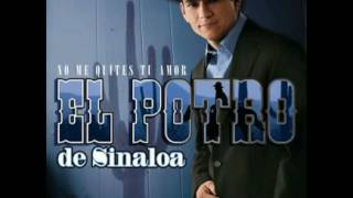Watch El Potro De Sinaloa No Me Quites Tu Amor feat Banda Los Pioneros video