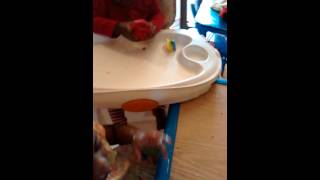 Baby Girl 1St Cake Smash