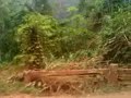 kwahu easter 2012 sex scandal