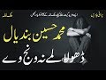 Dhola Lamay Na Wanj Way 1 | Muhammad Hussain Bandial | Best Punjabi Saraiki Original Audio Song