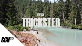 Mistrust Ft. Leo Wood - Trickster (Live Performance Video)
