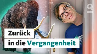 Sind Zeitreisen In Die Vergangenheit Möglich? Quarks Dimension Ralph