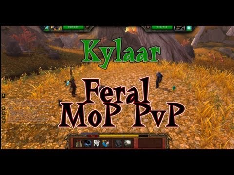 Level 90 Hunter PVP - BM Hunter Vs WW Monk - World Of Warcraft: Mists 