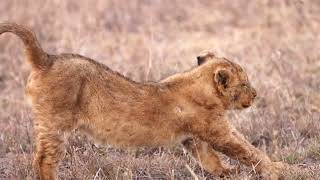 Kupona's Mum Gets a New Chance at Motherhood