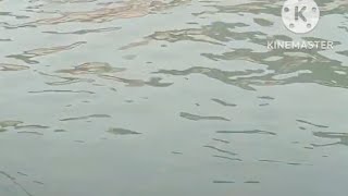 Ganga Snan गग सनन 2025 Desi Bhabhi Bathing Salinadi Snan