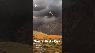 Hekîm Sefkan - Siwarê Deşt Û Çiya