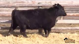 SCC 135