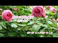 【新曲】倖せの隠れ場所 /北川大介 / 誠一郎 hbが唄ってみた 。