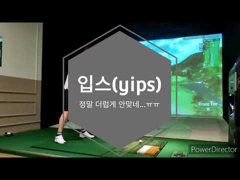입스(yips)