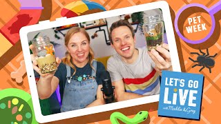 How To Look After Pets | Pets Week 1 | #65 LET'S GO LIVE with Maddie and Greg