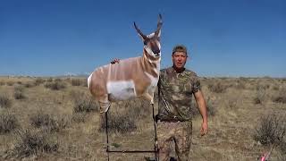 The Eichler Antelope Decoy From Montana Decoy