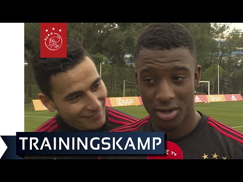 Alleen maar liefde voor Bazoer