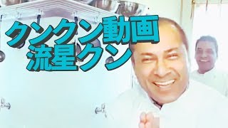 クンクン動画流星クン