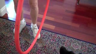Okie Tricks2 Patterdale Terrier