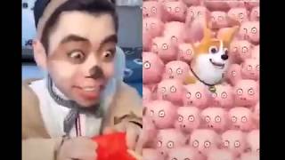 Best Funnies Man do the same dog videos /funny tiktok video