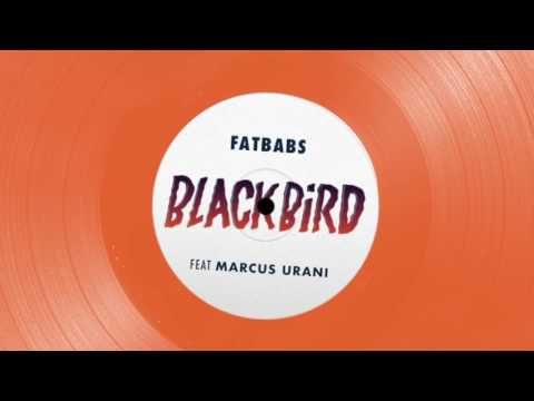 Blackbird Video