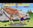 Street Fighter 2: The World Warrior - Ryu Vs. Sagat