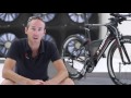 specialized
