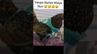Aşk Çiçeğim Nerdesin Mamikan Dublaj