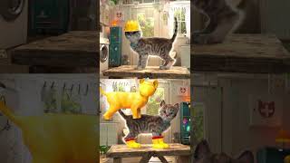 Little Kitten  Educational Learning For Kids Pet Care  Games  #Kitty #Kitten #Educationalvideo