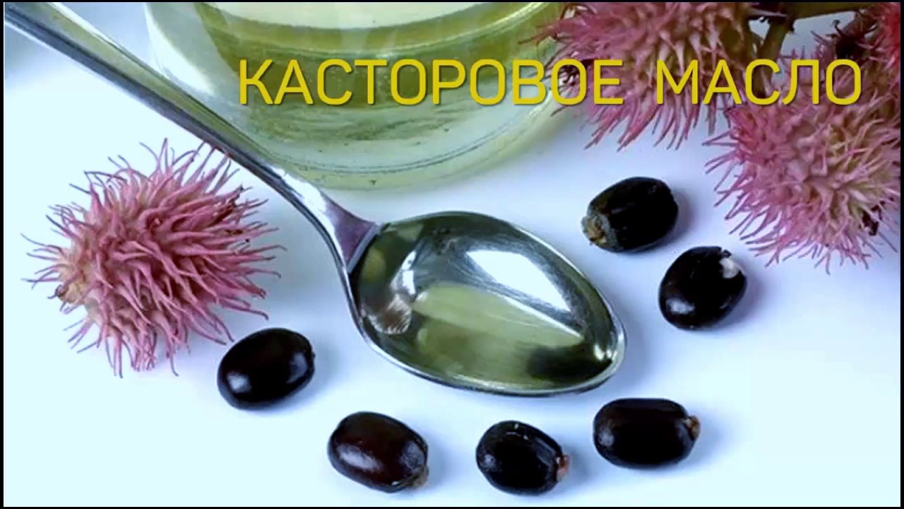 Рицин получение в домашних условиях Рицин получение в домашних условиях