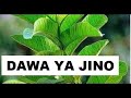 Dawa ya Jino Kuuma | 8 Toothache home remedies | Tiba ya Jino | Dawa 8 za kutibu Jino