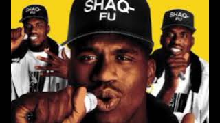 Watch Shaquille Oneal Heat It Up video