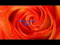 Ebru Kocaağa * Kenan İmirzalioğlu - sexii magic