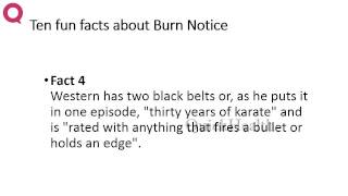 Ten Facts About Burn Notice My Health Health Tips Ten Facts About Burn Notice My Health Health Tips