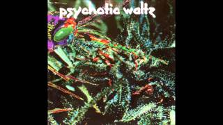 Watch Psychotic Waltz Locked Down video