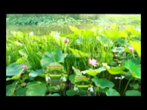 Jee Le Jara Talash 2012 By Mohd Asif Anvar mpeg4