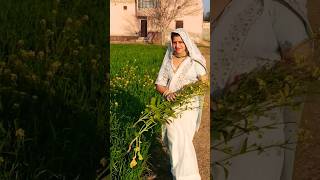 Desi Desi Look