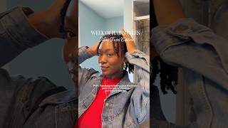 Mini Twist Hairstyles