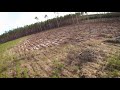 Nauki c.d. - freestyle FPV