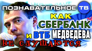 Как Сбербанк и ВТБ Медведева не слушаются (Познавательное ТВ, Валентин Катасонов)