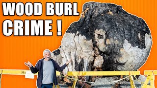 All About Wood Burls Including The Crime Scene Connection