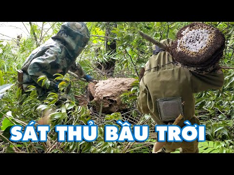 Ong Bầu Trời - SÁT THỦ TRÊN NGỌN CÂY | Thợ Rừng