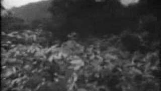 Cueva De Los Tayos - The Crespi Expedition - Los Invencibles