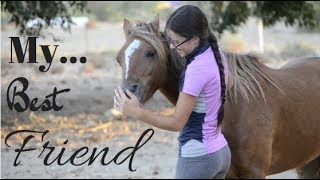 Goodbye to my Heart Horse