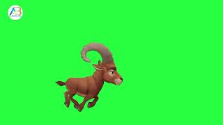 Deer Running Video Animals Stampede Green Screen Video Cartoon Animals Race Video Ab Learning
