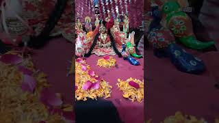 Goverdhan Puja Special Shorts Viral Video Vibes Mohan Mohini Radhakrishna