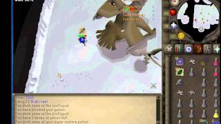 First Arma Trip. Duo. Armadyl Helmet Drop