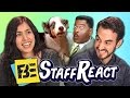 Try to Watch This Without Laughing or Grinning #2 (FBE STAFF ...