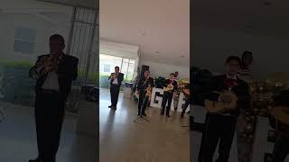 Mariachi Los Gallitos 323240-1609