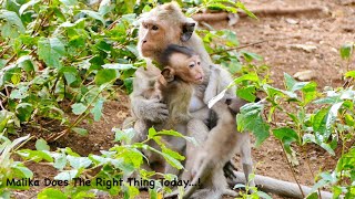 Big Surprising... Martins Hugged Pitifully To Comfort By Malika - Today She Does The Right Things