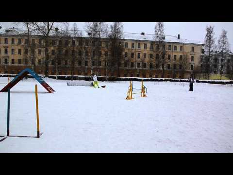 Спортсмены