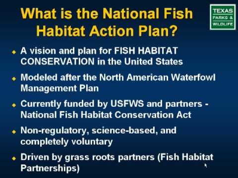National biodiversity strategy and action plan tanzania