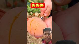 Mangga Madu.
